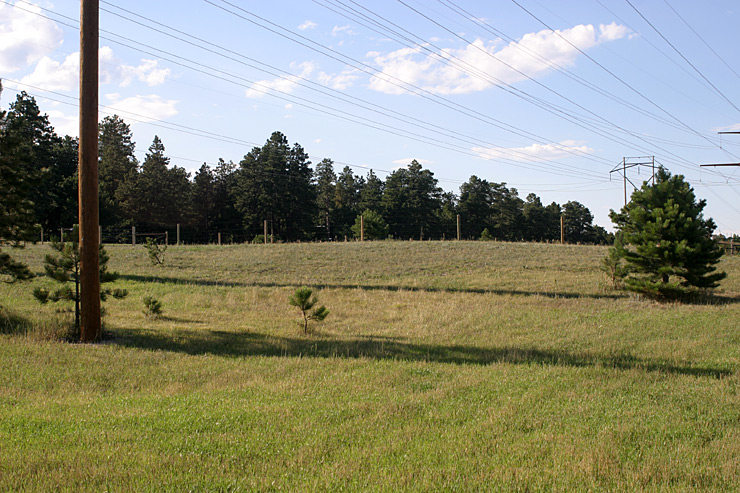 Horse Pasture