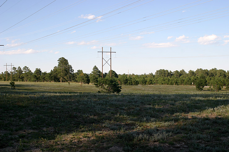 Horse Pasture