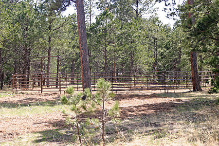 Exercise Round Pen